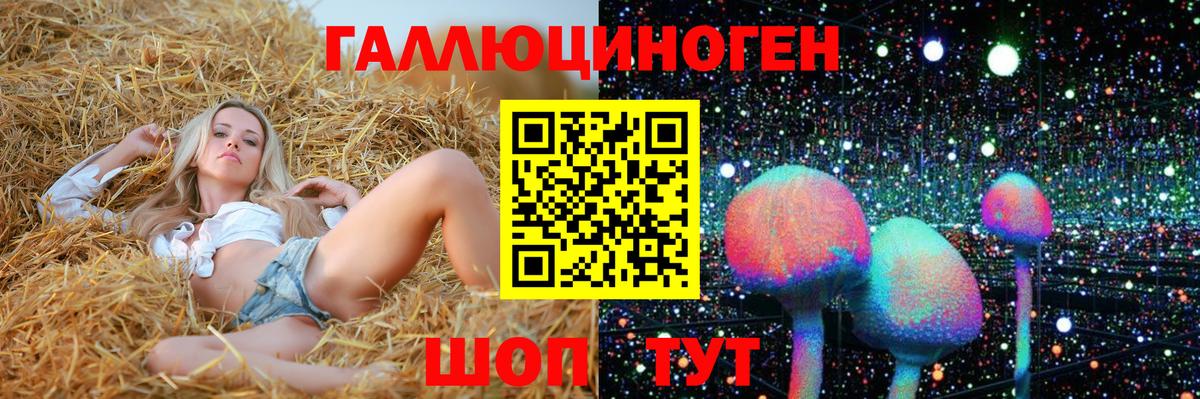 Псилоцибиновые грибы Psilocybe Ессентуки