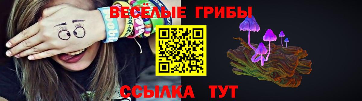 Галлюциногенные грибы прущие грибы  Вход с VPN  Ессентуки  Галлюциногенные грибы мухоморы 